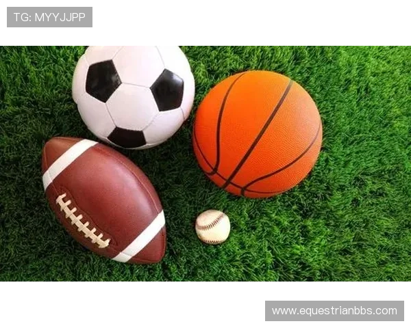 快鱼体育如何利用线上线下结合的方式提升青少年体育参与度