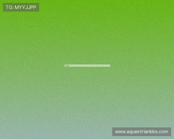 UED官数字站介绍最新游戏界面设计趋势与用户体验优化的实用资源